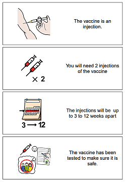 about the vaccine